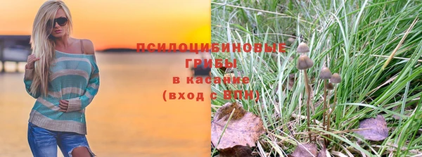 прущая мука Абаза