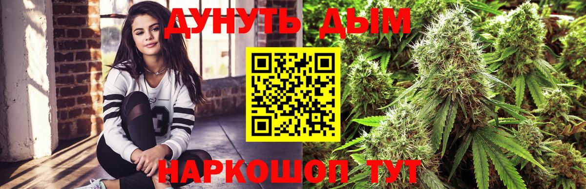 Канабис гибрид Нальчик